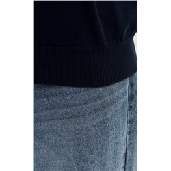 Джемпер мужской с воротником на молнии P221-15-1748 сине-голубой