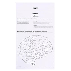 Игра на липучках «Моё тело», анатомия