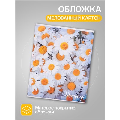 Набор тетрадей, 96 листов в клетку Calligrata "Цветы-1", серые листы, 4 штуки
