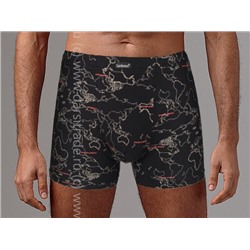 Трусы мужские GS1001 Gentlemen шорты