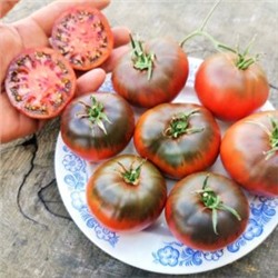 Помидоры Цвет Ночи из Казахстана (10 семян)