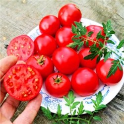 Помидоры Морковный Десерт — Carrot Dessert Tomato (10 семян)