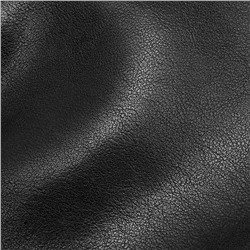 DOLAND LION  Сумка женская / кожа / 1636