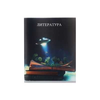 Предметная тетрадь по литературе Calligrata TOP «Школьный стиль», 48 листов, в линейку, со справочным материалом, пластиковая обложка