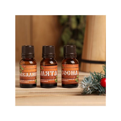 Новогодний набор эфирных масел «С Новым годом! С легким паром!», сосна, эвкалипт и мята, 3 шт. по 15 мл