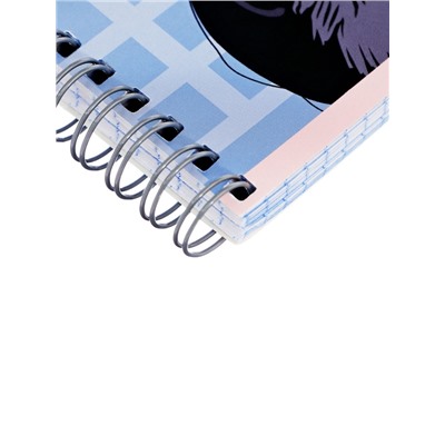 Набор тетрадей Calligrata «Аниме. Девочка с котом», 3 штуки, 96 листов, на гребне, обложка из мелованного картона