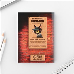 Подарочный набор, блокнот А6, 32 листа и волшебная ручка «Настоящему шпиону»