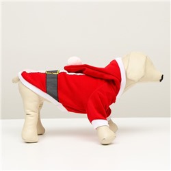 Толстовка для собак Santa, S (ДС 25, ОГ 35 см)