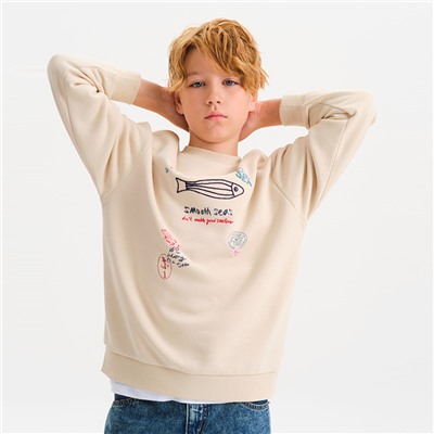 BFN3378 толстовка для мальчиков (1 шт в кор.)