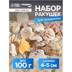 Набор ракушек, 4 - 5 см, 100 г