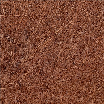 Коврик из кокосового волокна, 50×30 см
