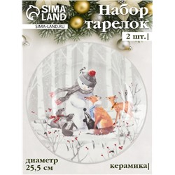 Набор тарелок новогодних «Снежные забавы», 2 шт., d=25.5 см, керамика, подарочная упаковка, белый