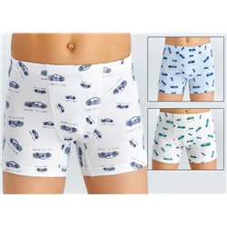 3586 Боксеры для мальчиков многоцвет (BAYKAR)