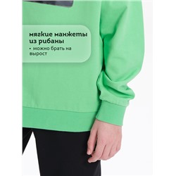 PELICAN Толстовка