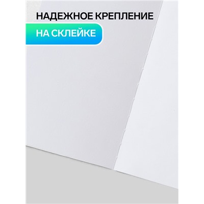 Альбом для рисования Hatber «Золотые рыбки» А4, 20 листов, склейка с трёх сторон, обложка из мелованной бумаги