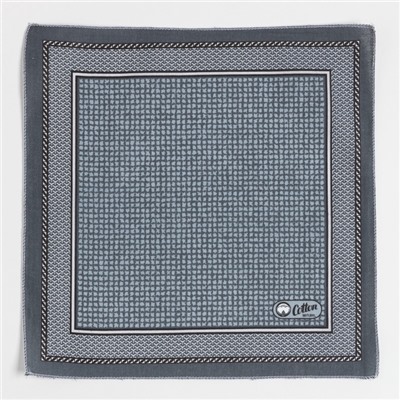 Платки носовые мужские «Этель. Анджело», 30×30 см, набор 12 шт., хлопок 100%, рисунок МИКС, серые