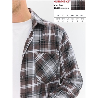 443+2*LBM Brostem рубашка мужская полуприталенная