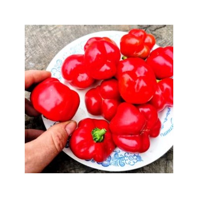 Перец для начинки Мамми Хубер -Mammi Huber’s Stuffing Pepper (10 семян)