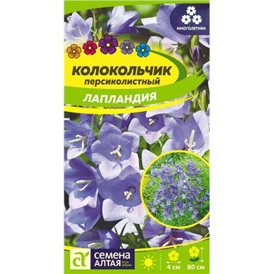 В НАЛИЧИИ. Колокольчик Лапландия персиколистный/Сем Алт/цп 0,05 гр. многолетник НОВИНКА