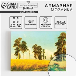 Алмазная мозаика с полным заполнением на холсте «Рожь», 30 х 40 см