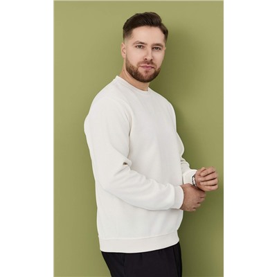 Свитшот F421-07-3201 milk