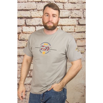 Футболка 6070 серый HEDRICY