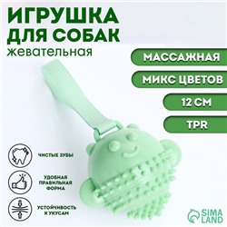 Игрушка массажная для собак "Монстр" 12 см, ТПР, микс цветов