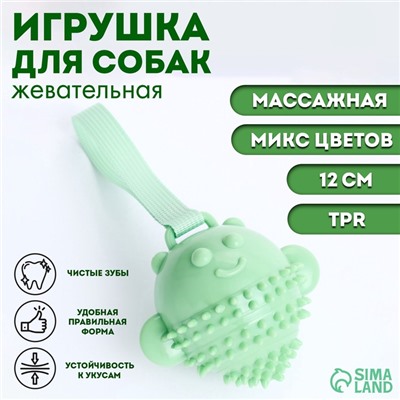 Игрушка массажная для собак "Монстр" 12 см, ТПР, микс цветов
