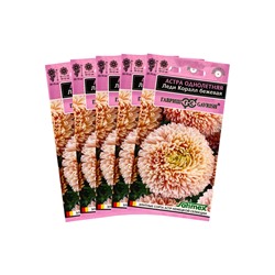 Набор семян Астра «Леди Корал бежевая», однолетняя, серия «Эксклюзив», 5 шт., «Мой выбор»