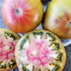 Помидоры Аляска Медная Река — Copper River Tomato (10 семян)
