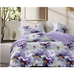 Постельное белье Зима-Лето из поплина с окантовкой ЗЛПО30-1479