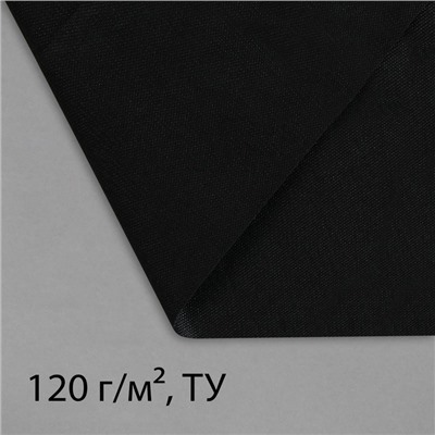 Материал для ландшафтных работ, 10×1.6 м, плотность 120 г/м², спанбонд с УФ-стабилизатором, чёрный, Greengo, Эконом 30%