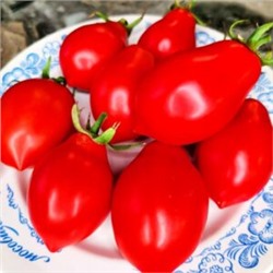 Помидоры Нова из Салерно — Pomodori Nova Di Salerno (10 семян)