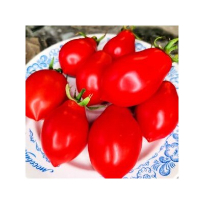Помидоры Нова из Салерно — Pomodori Nova Di Salerno (10 семян)
