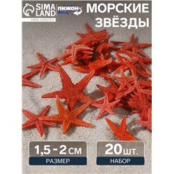 Набор натуральных морских звезд, 1.5-2 см, 20 шт., красный
