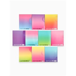 Тетради предметные, 48 л., набор из 10 шт., блок №1, ТВИН лак, уф лак «Градиент»