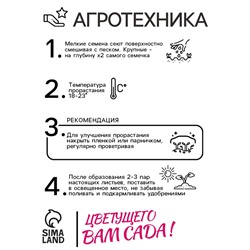 Семена комнатных цветов Бегония "Дип Ред", ц/п,  4 шт