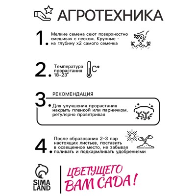 Семена комнатных цветов Бегония "Дип Ред", ц/п,  4 шт