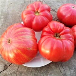 Помидоры Джаз — Jazz Tomato (10 семян)