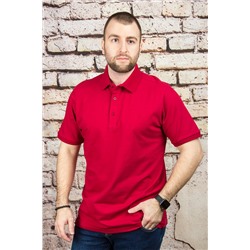 Футболка 2254В бордовый CAHOTER