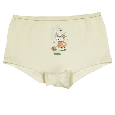 5680 Трусы шорты для девочки многоцвет (BAYKAR)