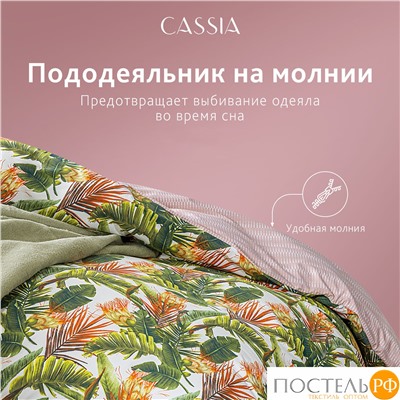 CASSIA БЕЛЕН КПБ 200х210-1/230х250-1/50х70-2/70х70-2, 6пр.,бамб/хл C