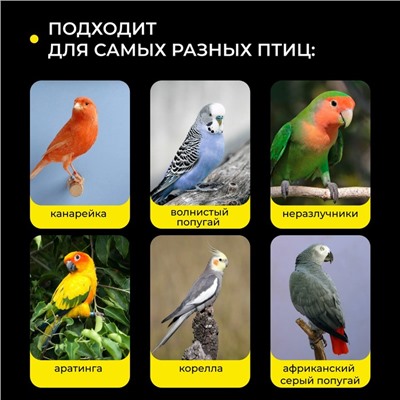 Кормушка для птиц внутренняя, 7.5×5.5×9 см