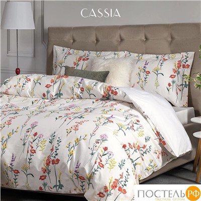 CASSIA ЭЛИФ КПБ 200х220-1/230х250-1/50х70-2, 4 пр., хл./сатин белый