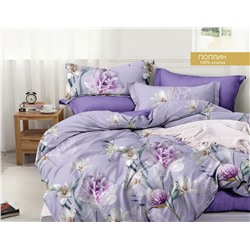 Постельное белье из поплина cтандарт ПВ27-1441