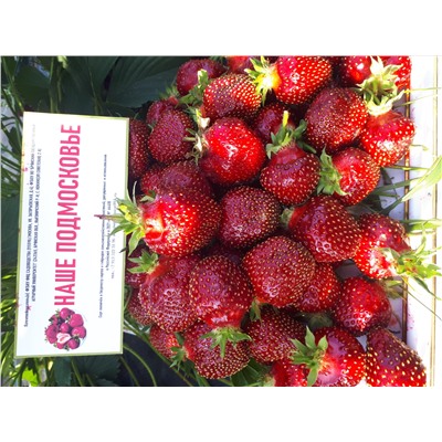 Наше Подмосковье, 6 шт.