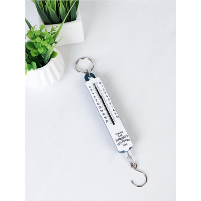 Весы безмен 10 кг / YD-10 /уп 100/400/