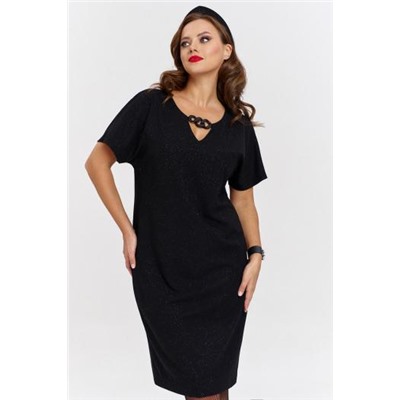 AVE RARA 5027