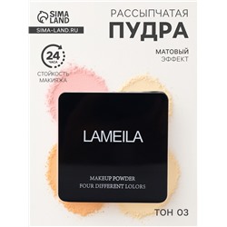 Пудра рассыпчатая LAMEILA тон 3