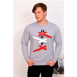 Толстовка #666767